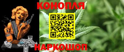 сатива Боровичи