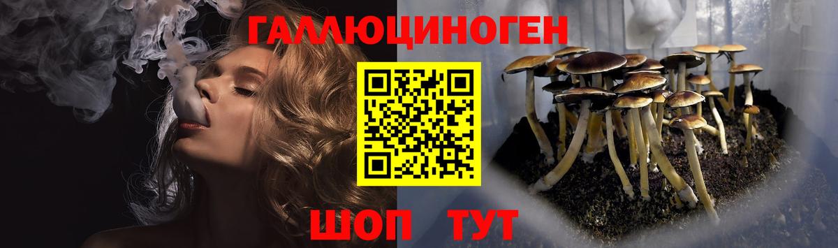 Псилоцибиновые грибы ЛСД Волжский